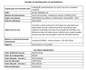 Resumo do instrumento