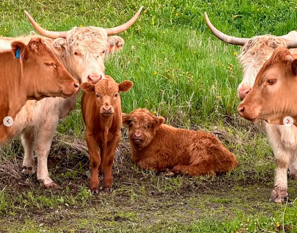 Intercambio Pedro Gaiki (5)