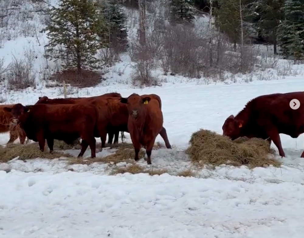 Intercambio Pedro Gaiki (8)