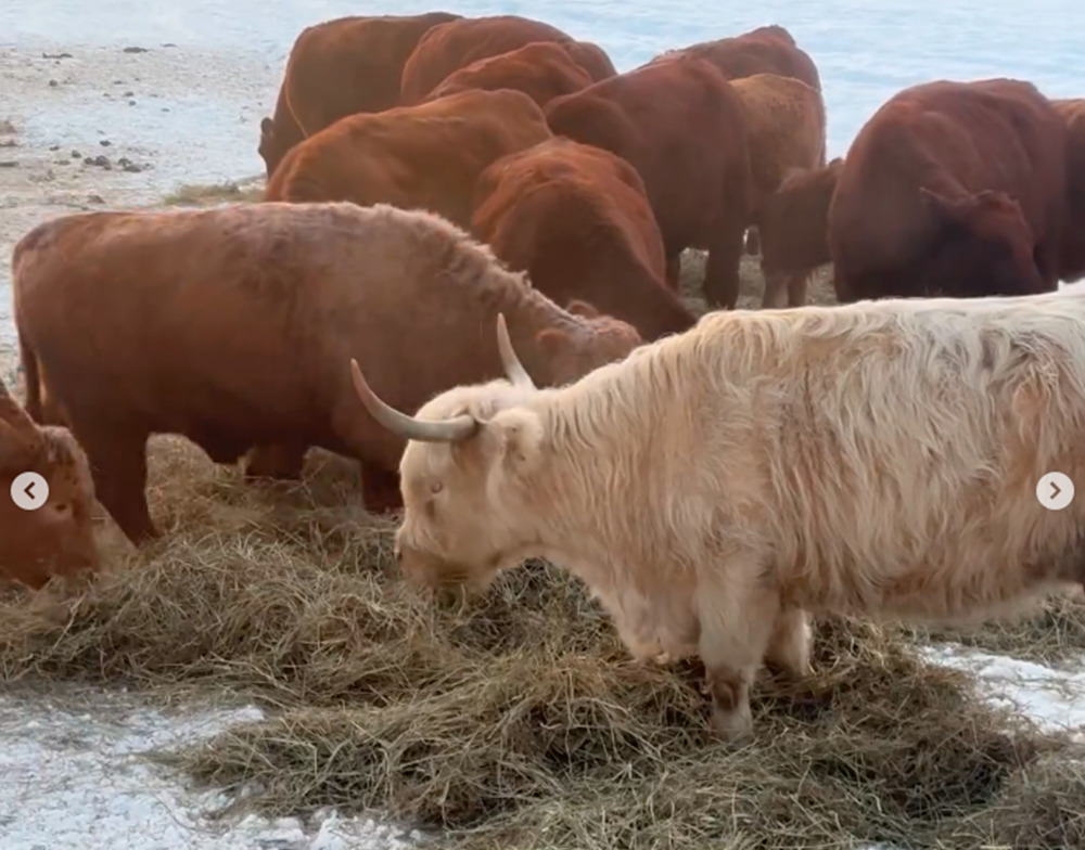 Intercambio Pedro Gaiki (9)