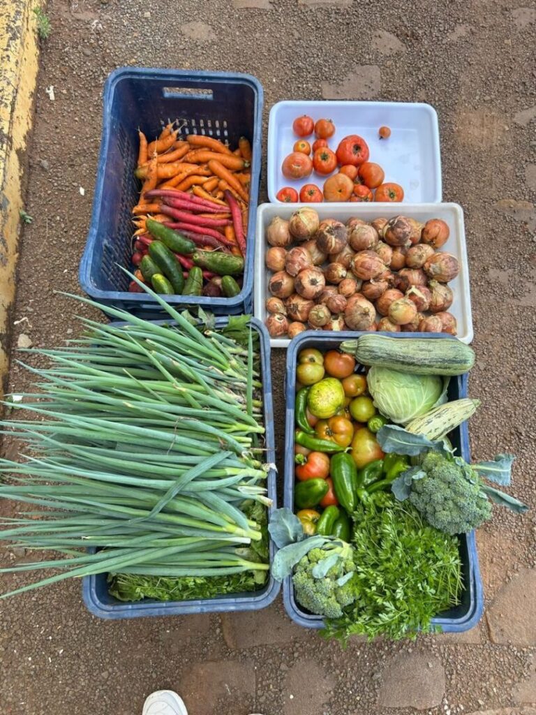 UG hortaliças foto 1