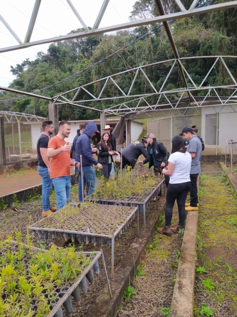 WhatsApp Image 2025 06 05 at 20.25.23 (2)