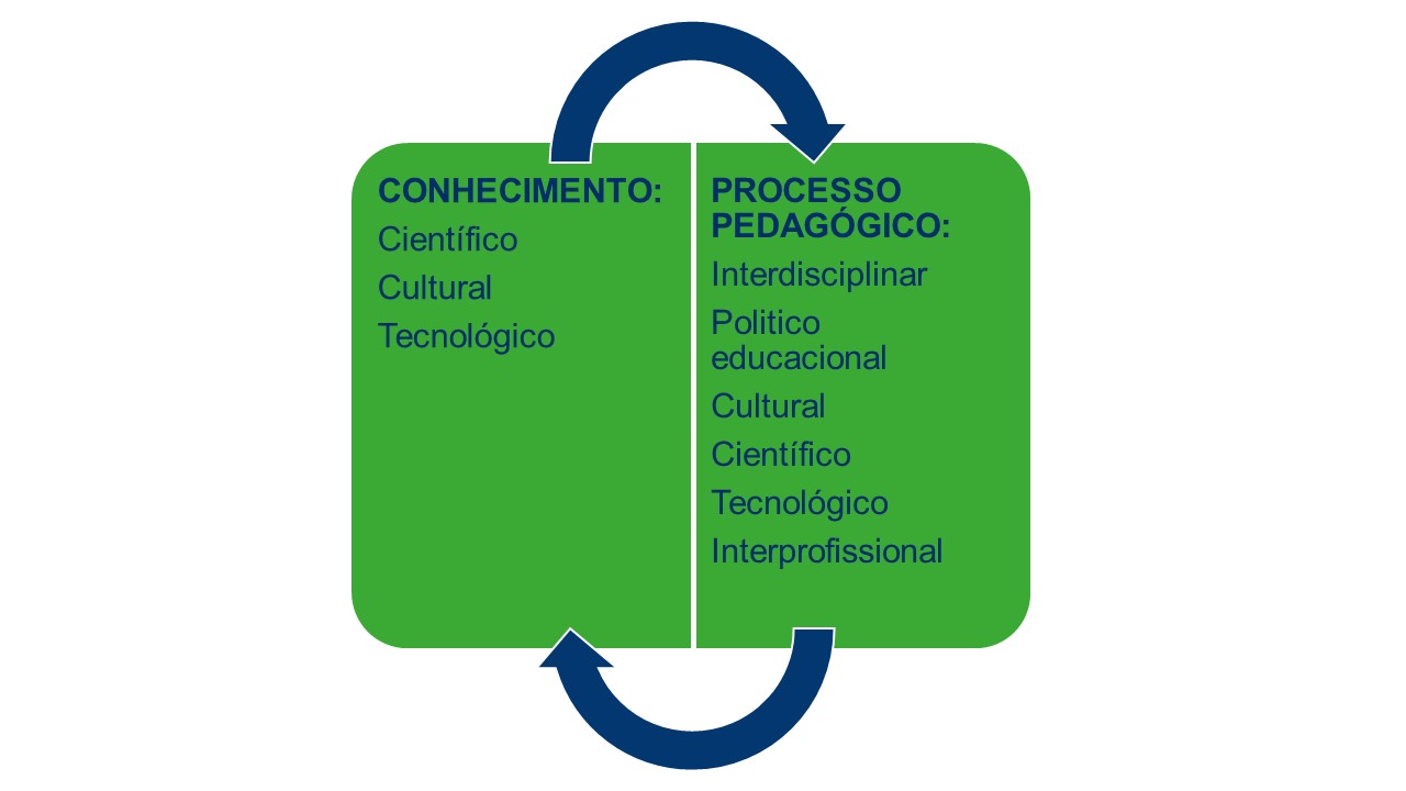 CONHECIMENTO E PROCESSO PEDAGÓGICO EM ARIAL