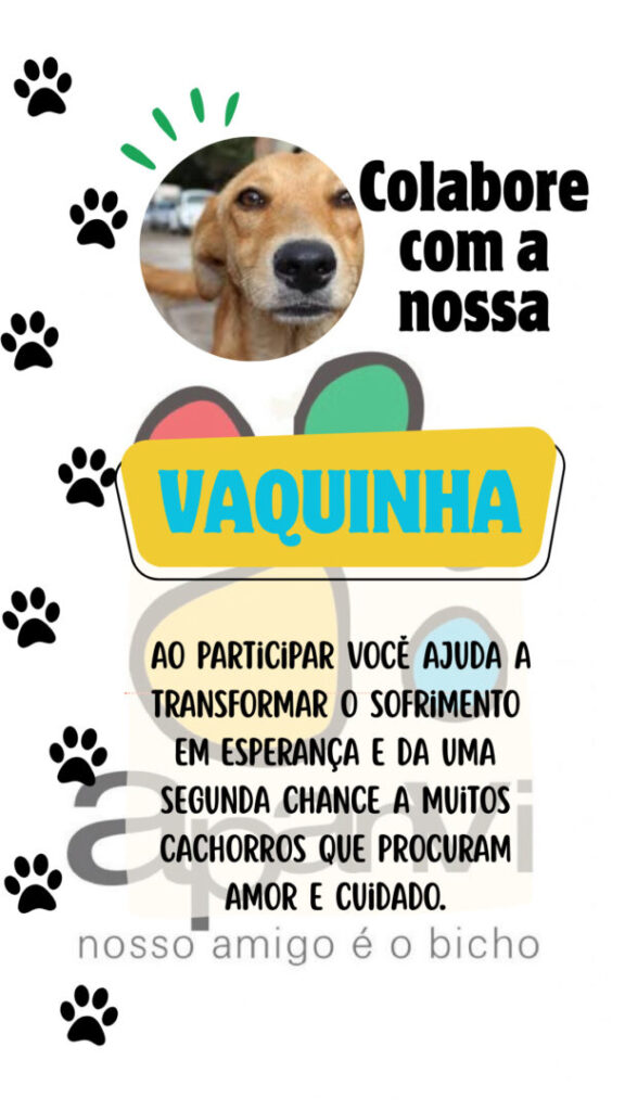 Administração na APANVI 5