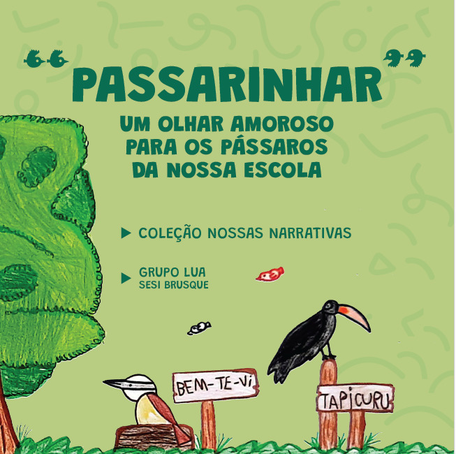 capa PASSARINHAR