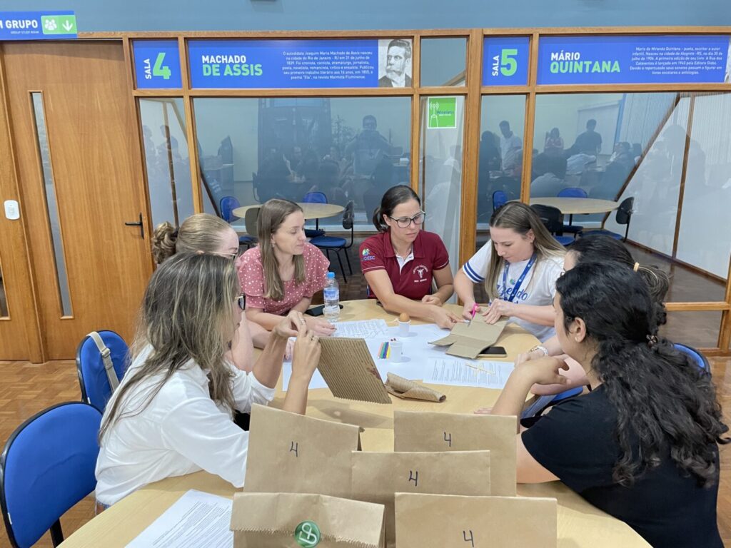 sao miguel do oeste (4)